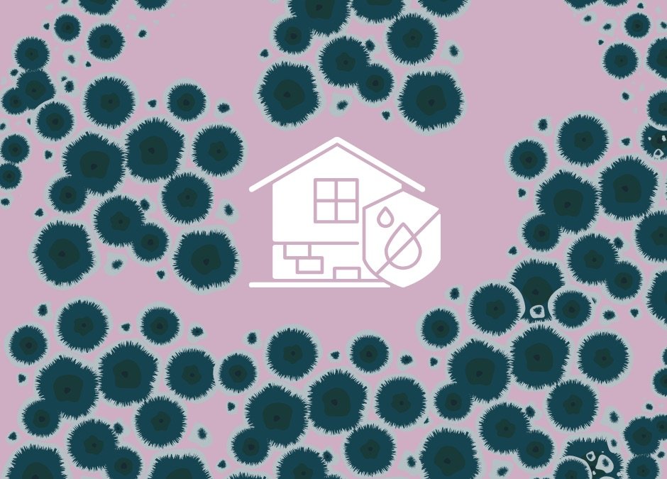 Illustration of a house with a shield and water droplet icon, surrounded by dark mould spores on a pink background