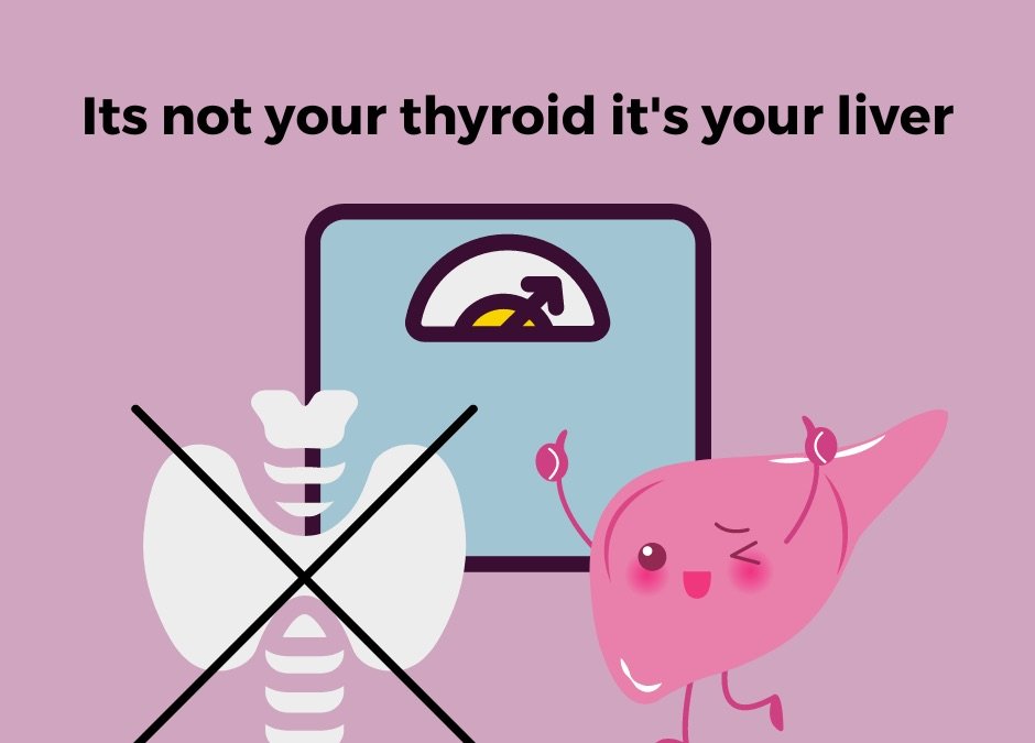 Illustration of a crossed-out thyroid beside bathroom scales and a happy cartoon liver, with text reading It's not your thyroid it's your liver